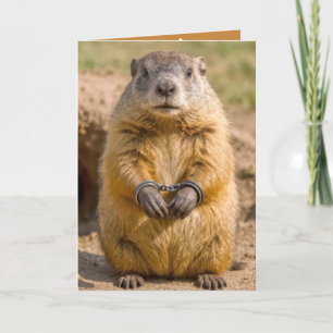 Carte Humour de la fête de la marmotte