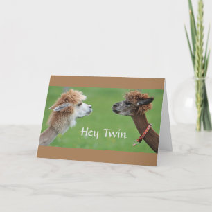 Carte Humour DOUCE SUR L'ANNIVERSAIRE DE MA VILLE PRÉFÉR
