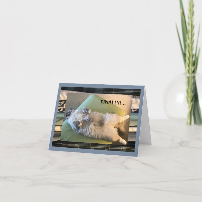 Carte Humour, drôle et stupide (Devant)