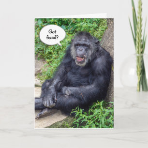 Carte Humour vasectomique avec chimpanzé