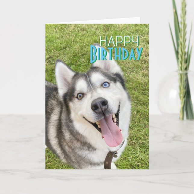 Carte Husky Happy Birthday Card chien (Devant)