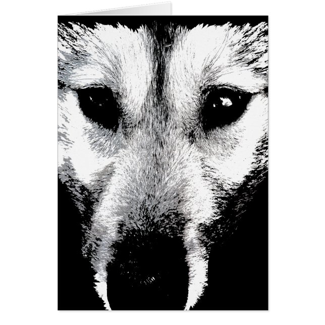 Carte Husky Sibérienne Malamute Wolf Dog Card (Devant)