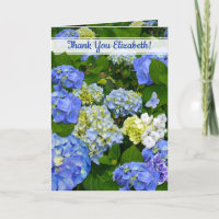Hydrangea Bleu Printanier Ami Chrétien Merci