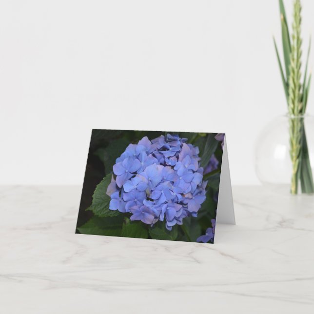 Carte Hydrangea macrophylla violette rustique (Devant)