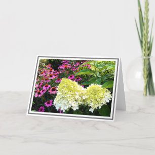 Carte Hydrangée blanche crémeuse et fleurs de cônes rose