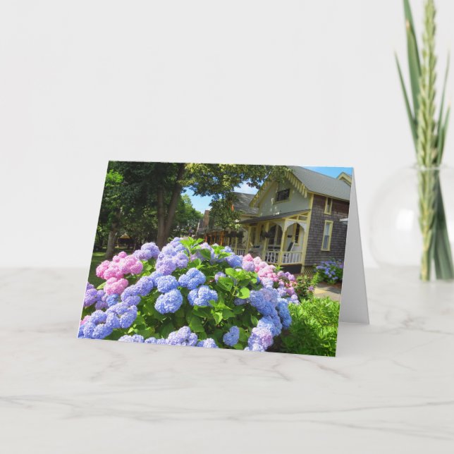 Carte Hydrangées bleues et roses - Martha's Vineyard (Devant)
