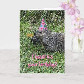 Carte I heard it's your birthday, groundhog cards