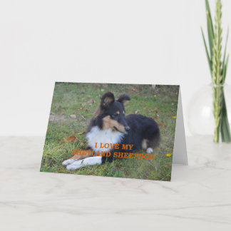 Carte I Love My Shetland Sheepdog Black Tri