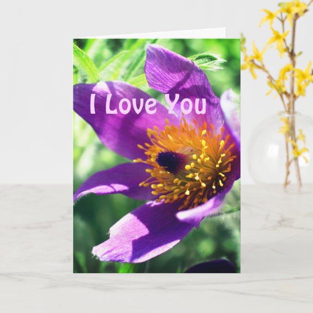 Carte I Love You Pasque Flower Personnalisé (Fleur jaune)