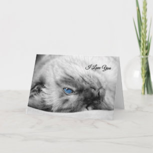 Carte I Love You Siamese Chat aux yeux bleus