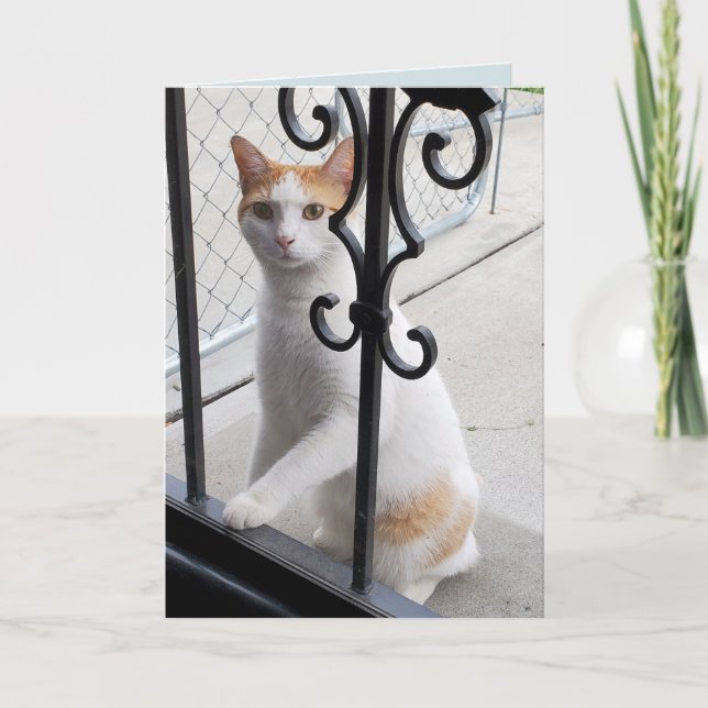 Carte I Miss You Cat (Devant)