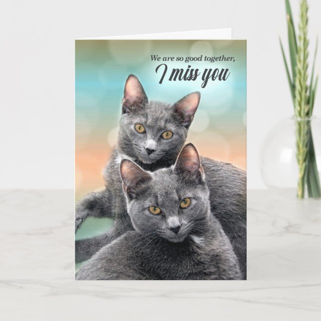 Carte I Miss You Two Gray Cats (Devant)