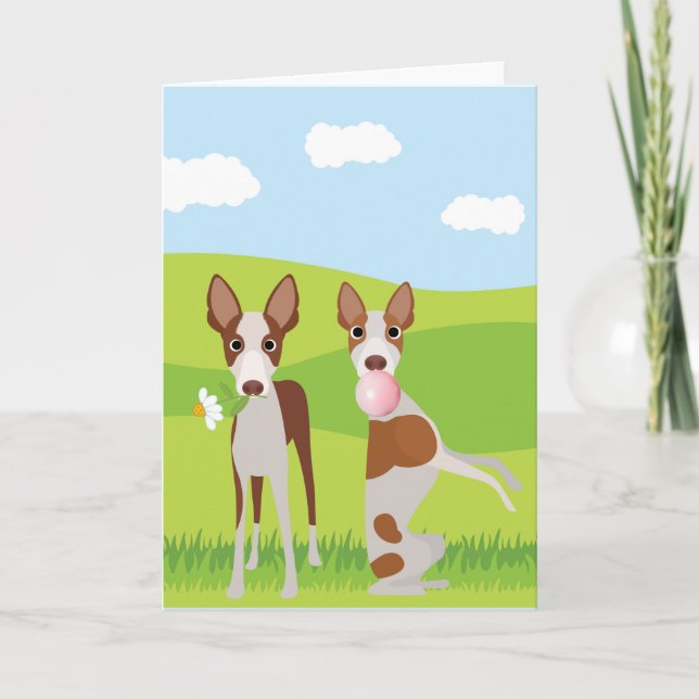 Carte Ibizan Hound Dog Animal Buble Gum (Devant)