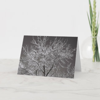 Carte Icy Tree