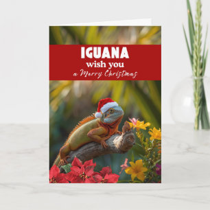 Carte Iguana vous souhaite un Joyeux Noël