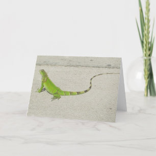 Carte Iguane sauvage