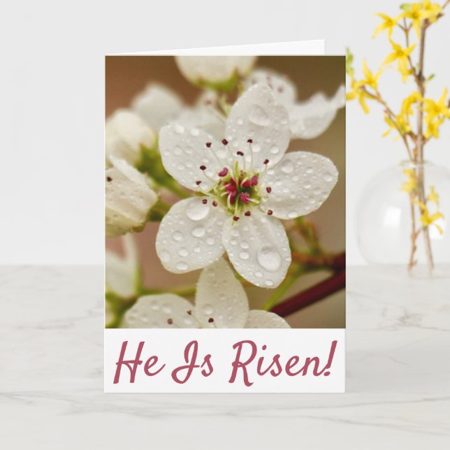 Carte « Il est ressuscité ! » dimanche de Résurrection  (Fleur jaune)