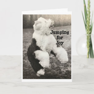 CARTE IL EST TEMPS POUR LES AMIS DE SE RECONNECTER À NOË