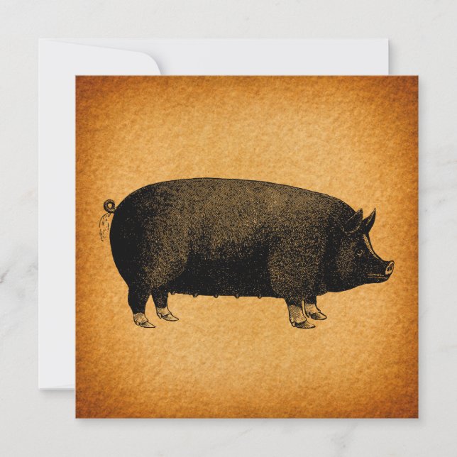 Carte Illustrated Vintage Pig (Devant)