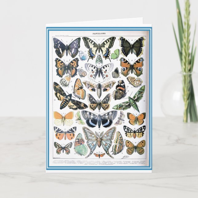 Carte Illustration d'art papillon papillon vintage (Devant)