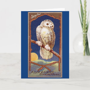 Carte Illustration de chouette vintage