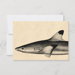 Carte Illustration de requin de récif vintage noir point