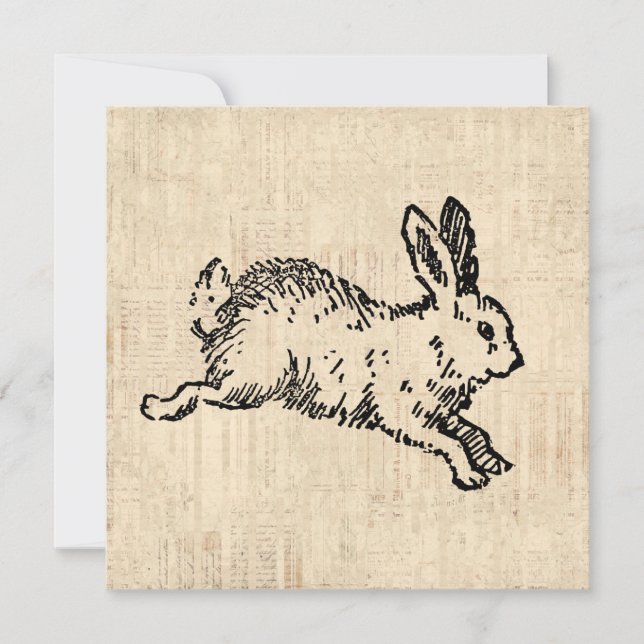Carte Illustration de script de lapin de bunny mignon vi (Devant)