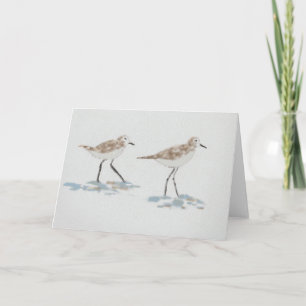 Carte Illustration des oiseaux riverains