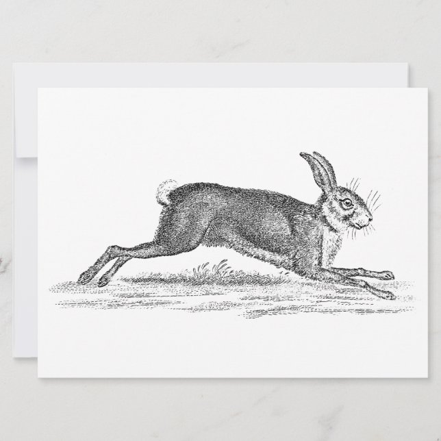 Carte Illustration du lapin lapin lièvre vintage des ann (Devant)