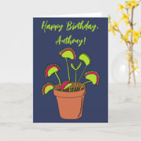 Illustration personnalisée de plante piège à mouch