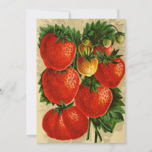 Carte Illustration vintage de la fraise Jessie