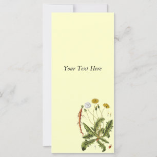 Carte Illustration vintage du Dandelion