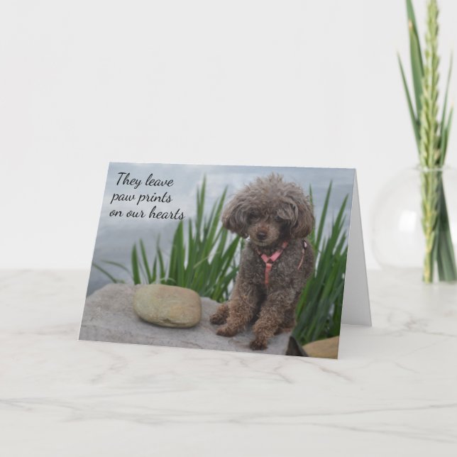 Carte Ils Laissent Des Pawprints Sur Notre Coeur Sympath (Devant)