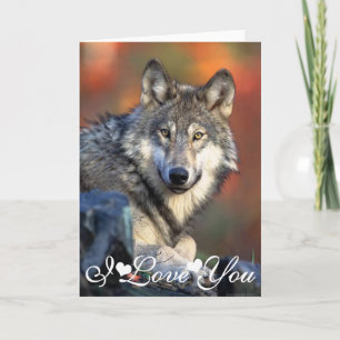 Carte Image de loup Photographie Je t'aime