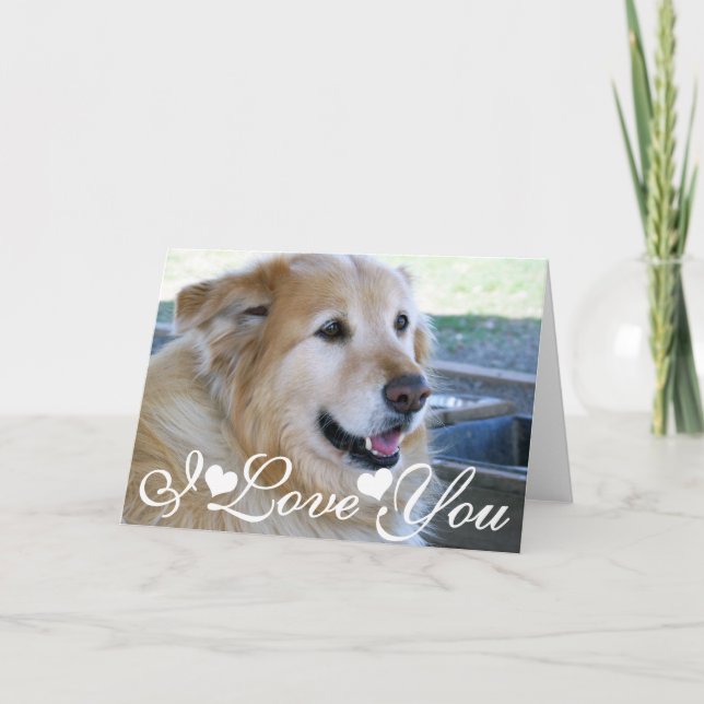 Carte Image de photo de golden retriever je t'aime (Devant)