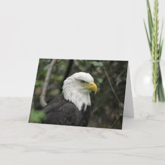 Carte IMG_0673-eagle_5x7