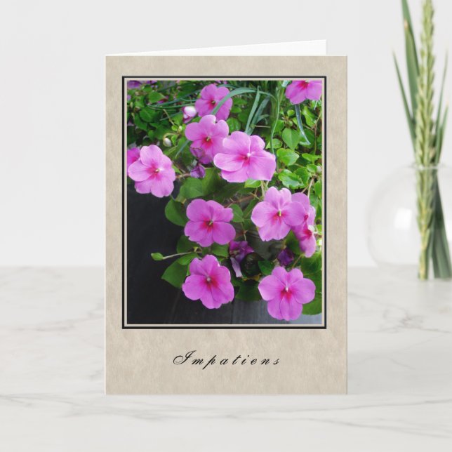 Carte Impatiens - série florale (Devant)