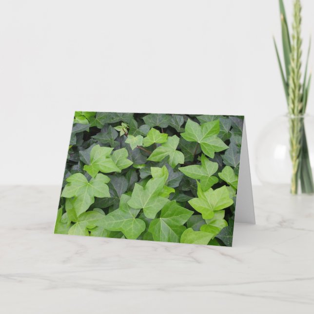 Carte Impression botanique verte Ivy (Devant)
