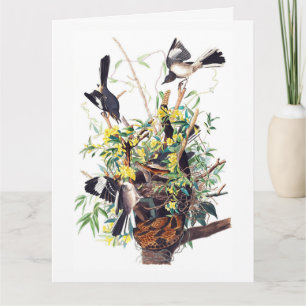 Carte Impression de Moqueurs par Audubon