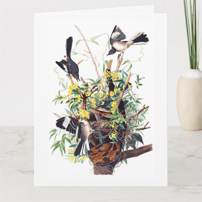 Carte Impression de Moqueurs par Audubon (Devant)