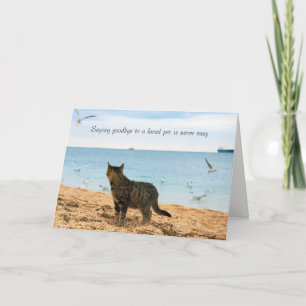 Carte In Sympathy for Death of Cat