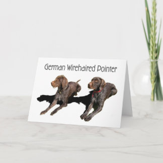 Carte Indicateur à poils durs allemand