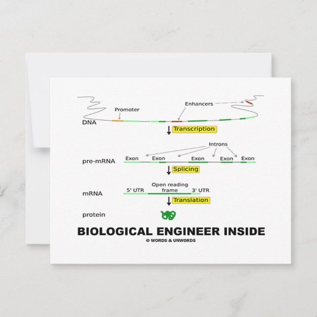 Carte Ingénieur biologique à l'intérieur (Devant)