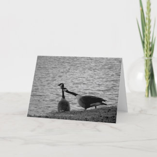 Carte Inséparables B&W