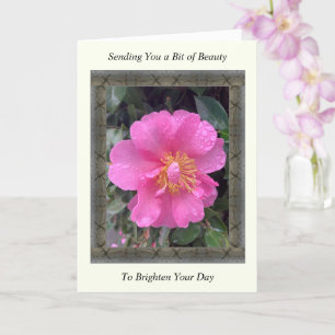 Carte Inspiration Get Well avec Camellia rose