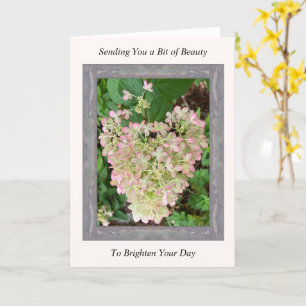 Carte Inspiration Get Well avec Hydrangea rose