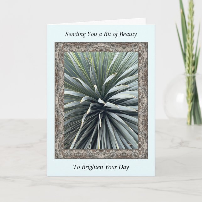 Carte Inspiration Get Well Card avec un Yucca étonnant (Devant)