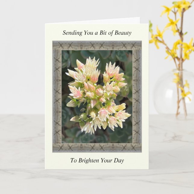 Carte Inspirationnelle Get Well avec Fleurs Succul (Fleur jaune)