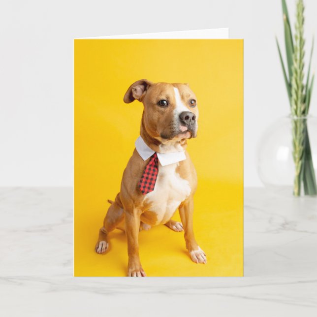 Carte intérieure vide (Devant)