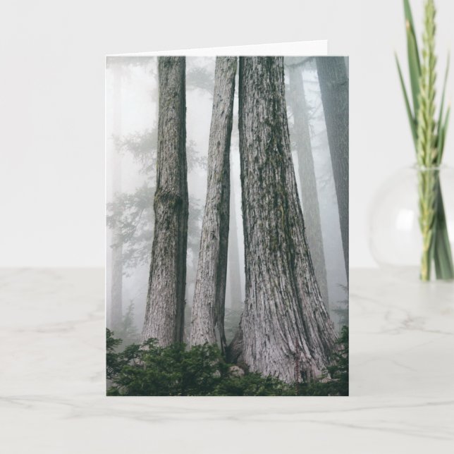 Carte Invoquer la forêt (Devant)